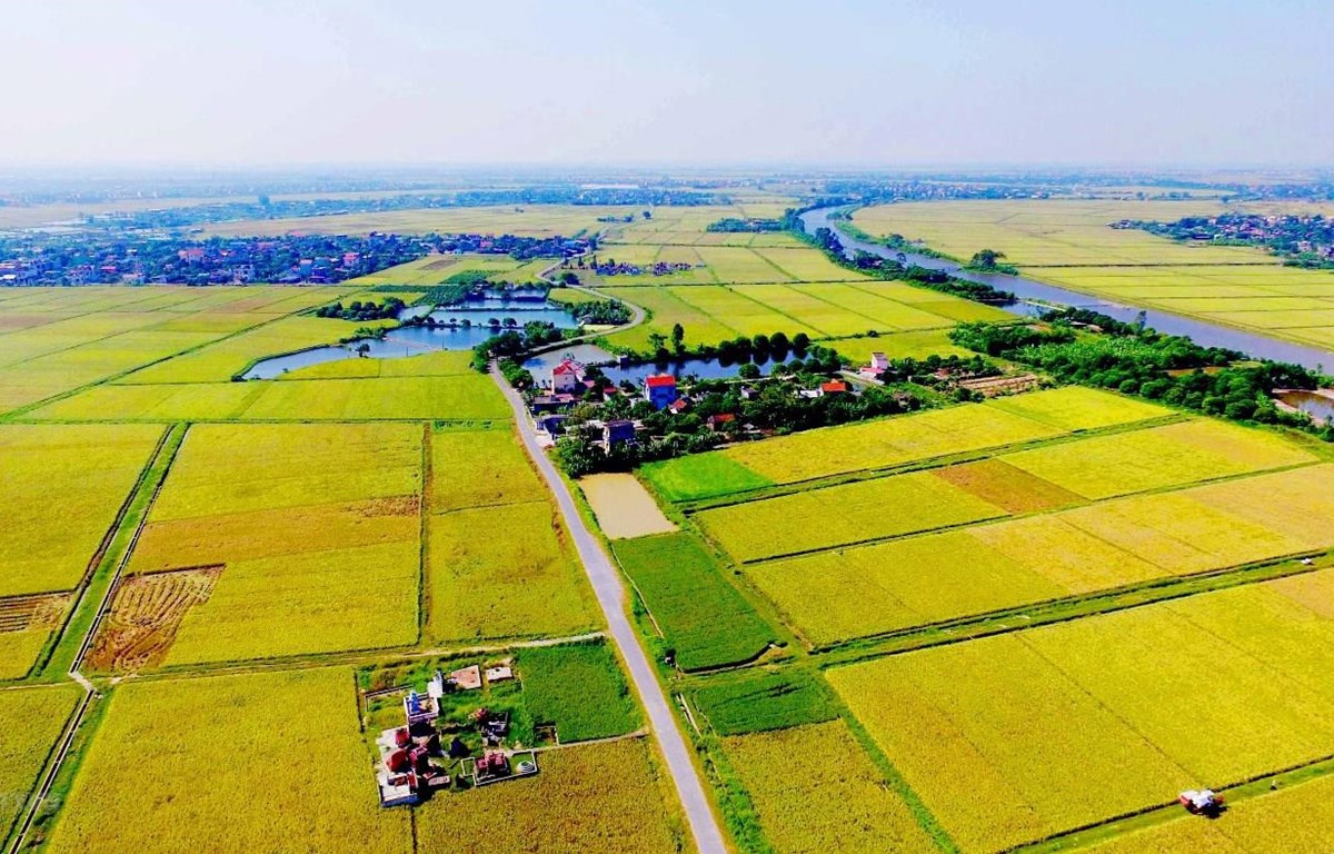 Liên hệ luật sư tư vấn thủ tục sang tên đất tại Bình Dương qua số 0934 674 599 – 0971 491 595