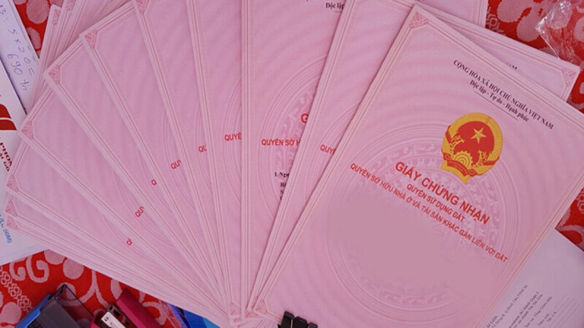 nam 2023 bi giu giay chung nhan quyen su dung dat bi phai sao 1709528851831604308822